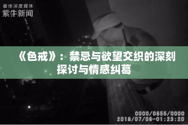 《色戒》：禁忌与欲望交织的深刻探讨与情感纠葛