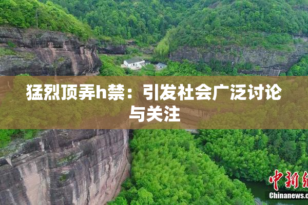 猛烈顶弄h禁：引发社会广泛讨论与关注