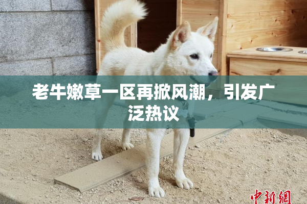 老牛嫩草一区再掀风潮，引发广泛热议
