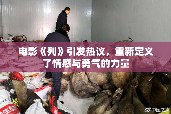 电影《列》引发热议，重新定义了情感与勇气的力量
