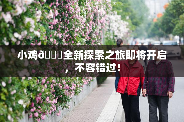 小鸡🐔全新探索之旅即将开启，不容错过！