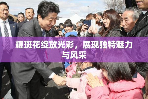 耀斑花绽放光彩，展现独特魅力与风采