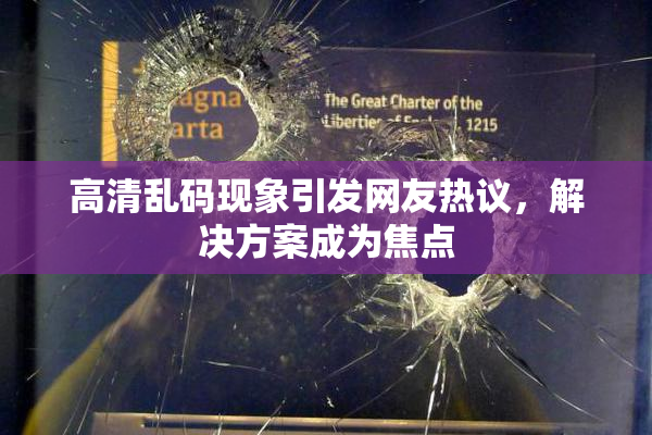 高清乱码现象引发网友热议，解决方案成为焦点