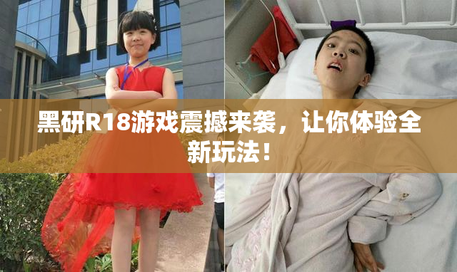 黑研R18游戏震撼来袭，让你体验全新玩法！