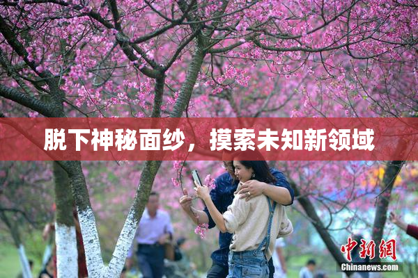 脱下神秘面纱，摸索未知新领域