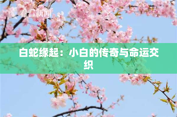 白蛇缘起：小白的传奇与命运交织