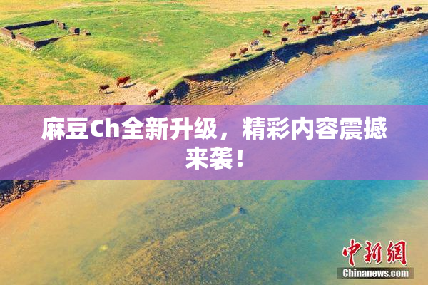 麻豆Ch全新升级，精彩内容震撼来袭！
