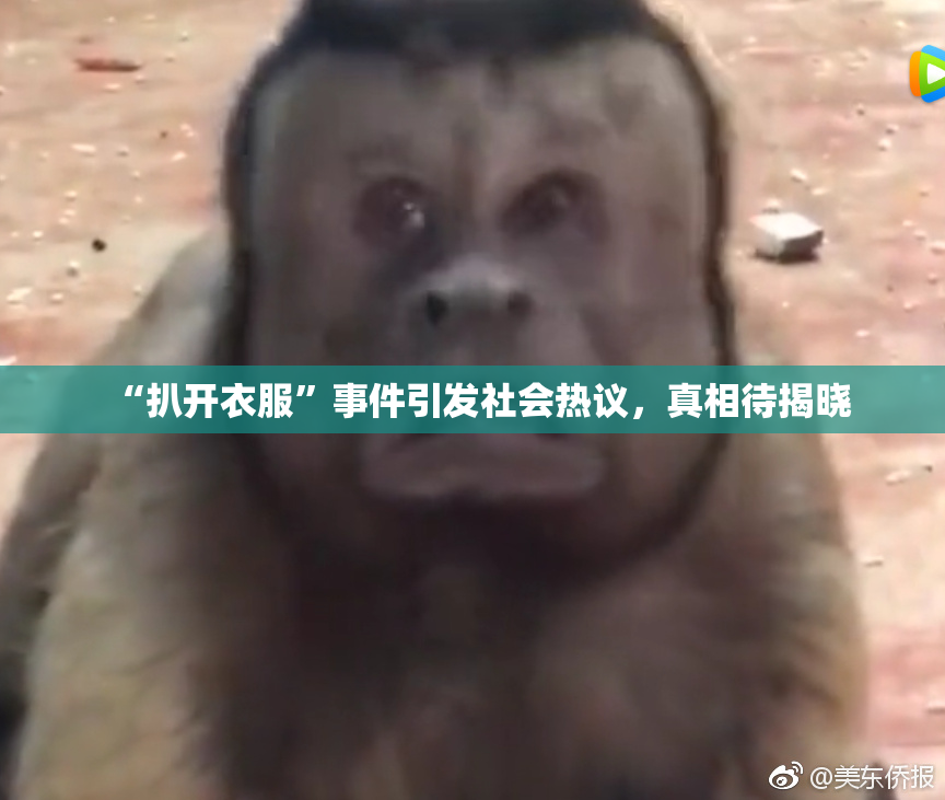 “扒开衣服”事件引发社会热议，真相待揭晓