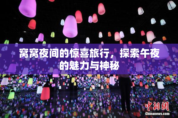窝窝夜间的惊喜旅行，探索午夜的魅力与神秘