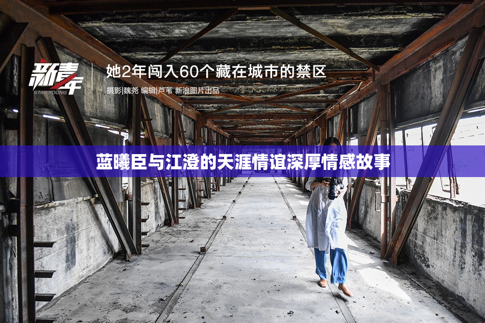 蓝曦臣与江澄的天涯情谊深厚情感故事
