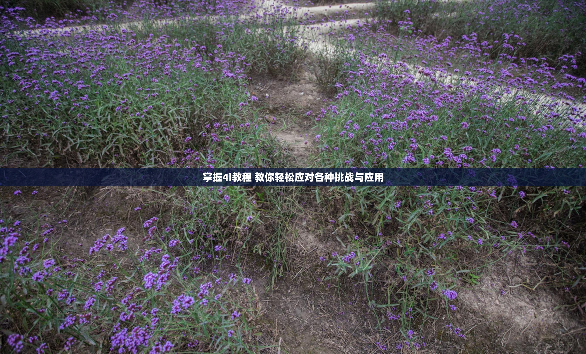 掌握4i教程 教你轻松应对各种挑战与应用
