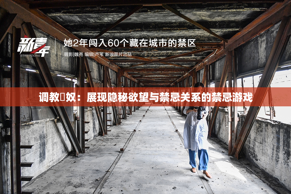 调教婬奴：展现隐秘欲望与禁忌关系的禁忌游戏