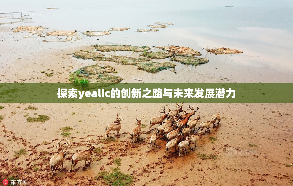 探索yealic的创新之路与未来发展潜力