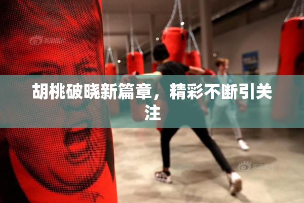 胡桃破晓新篇章，精彩不断引关注