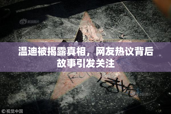 温迪被揭露真相，网友热议背后故事引发关注