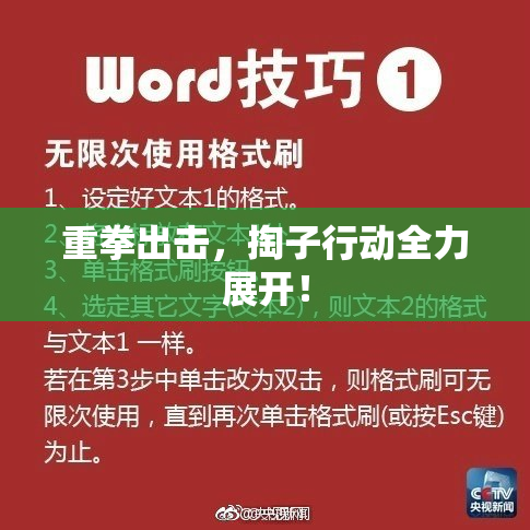 重拳出击，掏子行动全力展开！