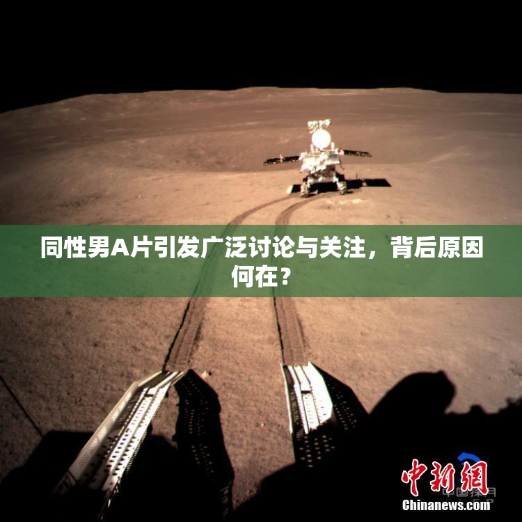 同性男A片引发广泛讨论与关注，背后原因何在？
