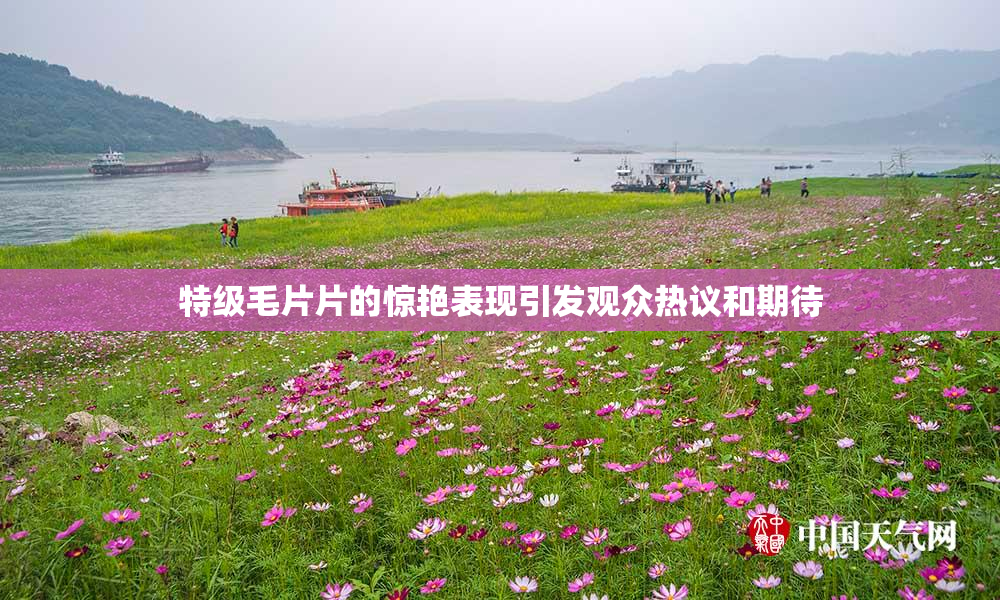 特级毛片片的惊艳表现引发观众热议和期待