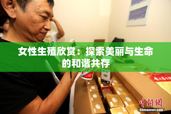 女性生殖欣赏：探索美丽与生命的和谐共存