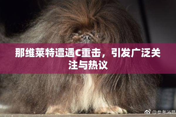 那维莱特遭遇C重击，引发广泛关注与热议