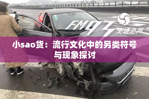 小sao货：流行文化中的另类符号与现象探讨