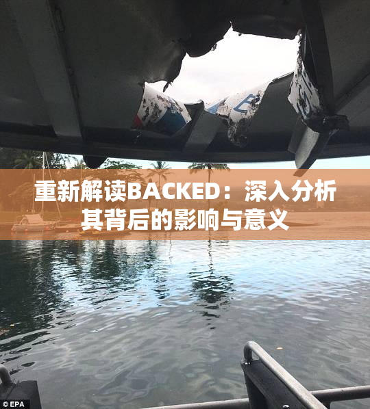 重新解读BACKED：深入分析其背后的影响与意义