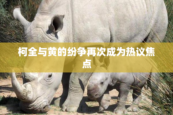 柯全与黄的纷争再次成为热议焦点
