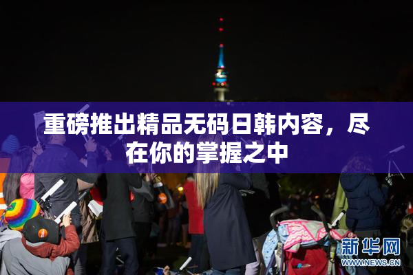重磅推出精品无码日韩内容，尽在你的掌握之中