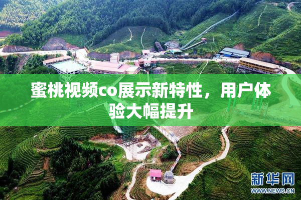 蜜桃视频co展示新特性，用户体验大幅提升