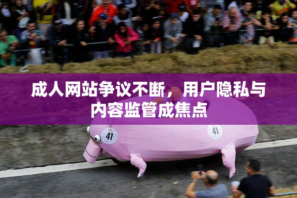成人网站争议不断，用户隐私与内容监管成焦点
