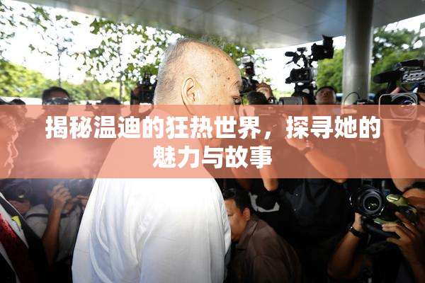 揭秘温迪的狂热世界，探寻她的魅力与故事