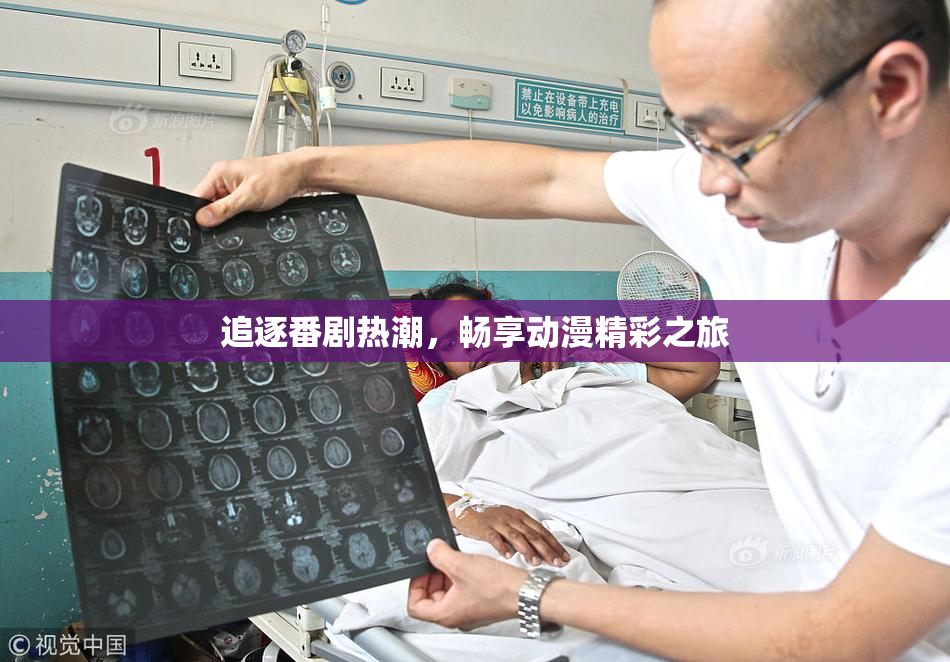 追逐番剧热潮，畅享动漫精彩之旅