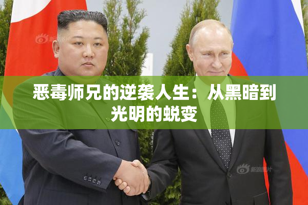恶毒师兄的逆袭人生：从黑暗到光明的蜕变