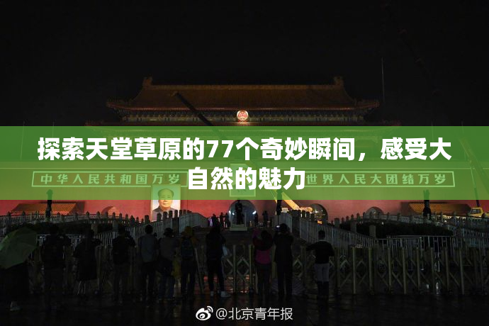 探索天堂草原的77个奇妙瞬间，感受大自然的魅力