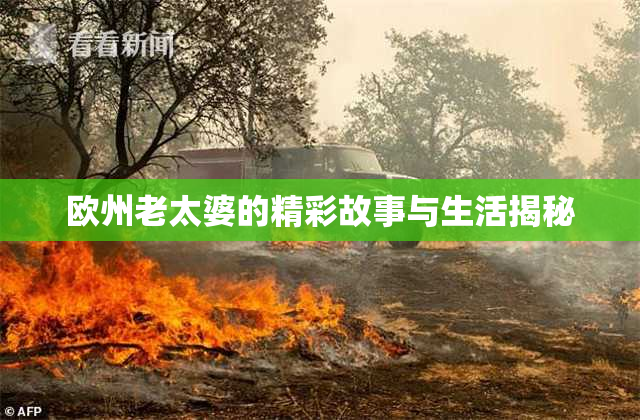 欧州老太婆的精彩故事与生活揭秘