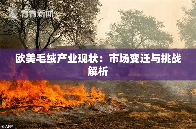 欧美毛绒产业现状：市场变迁与挑战解析