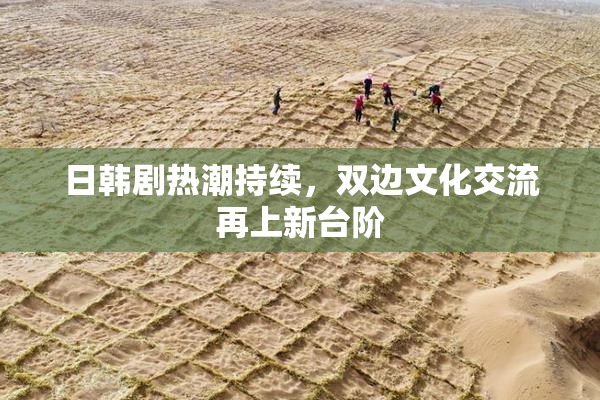 日韩剧热潮持续，双边文化交流再上新台阶