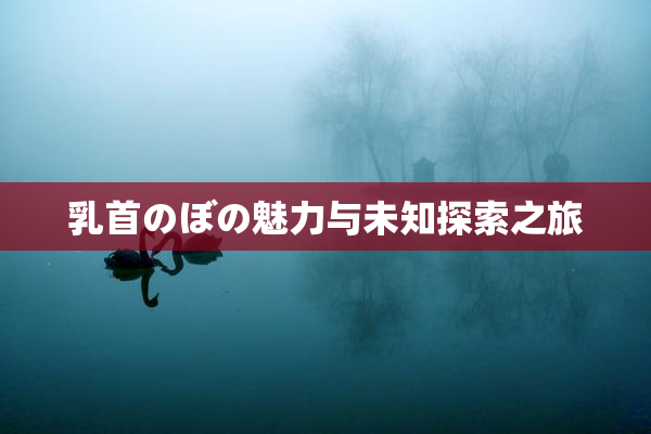 乳首のぼの魅力与未知探索之旅