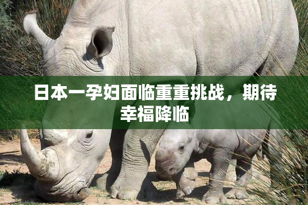 日本一孕妇面临重重挑战，期待幸福降临