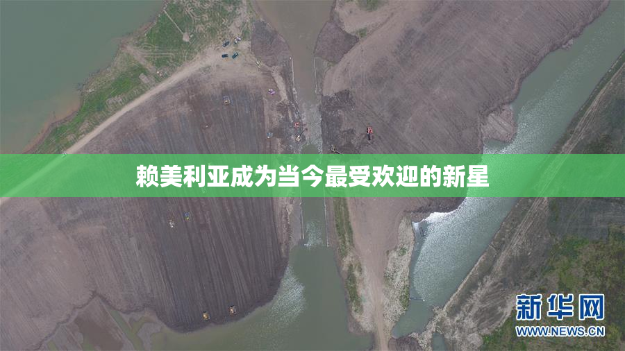 赖美利亚成为当今最受欢迎的新星