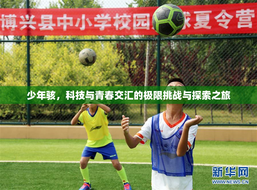 少年骇，科技与青春交汇的极限挑战与探索之旅