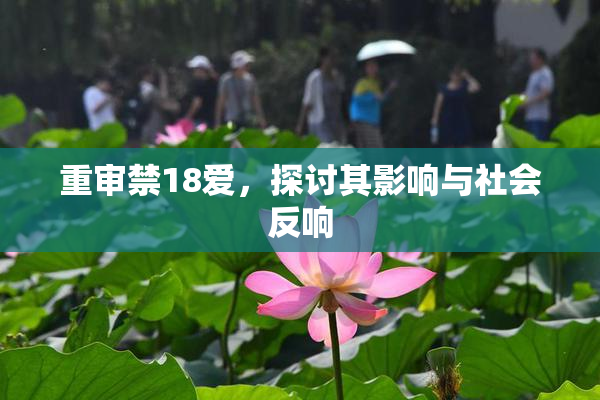 重审禁18爱，探讨其影响与社会反响