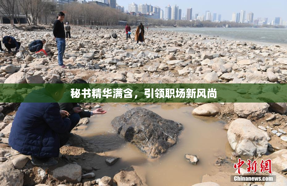 秘书精华满含，引领职场新风尚