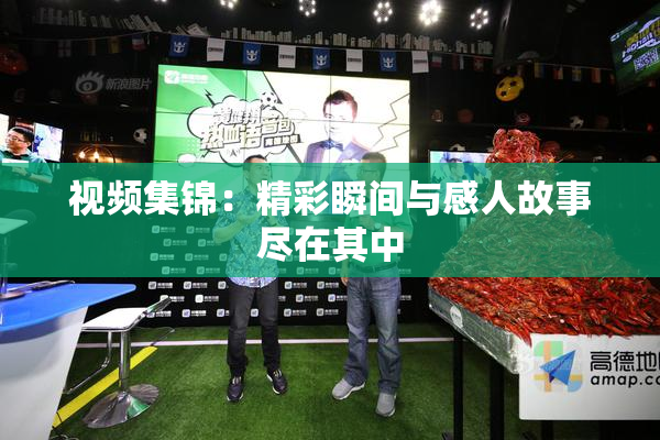视频集锦：精彩瞬间与感人故事尽在其中