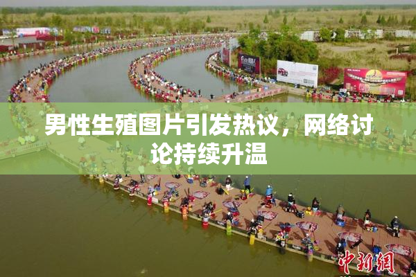 男性生殖图片引发热议，网络讨论持续升温