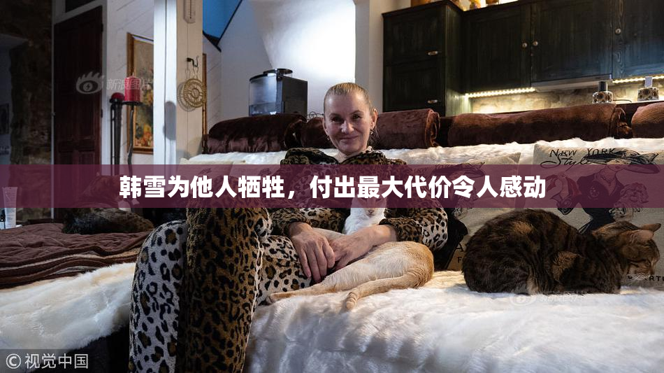 韩雪为他人牺牲，付出最大代价令人感动