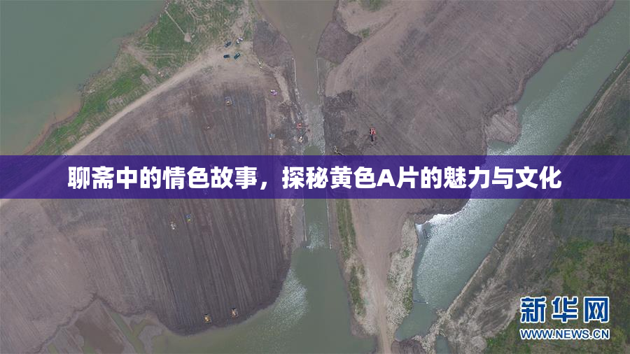 聊斋中的情色故事，探秘黄色A片的魅力与文化