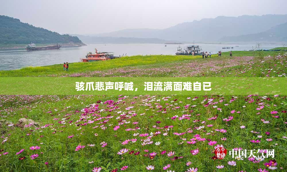 骇爪悲声呼喊，泪流满面难自已