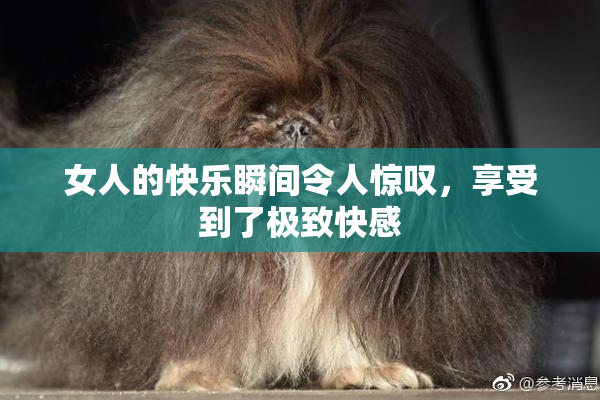 女人的快乐瞬间令人惊叹，享受到了极致快感
