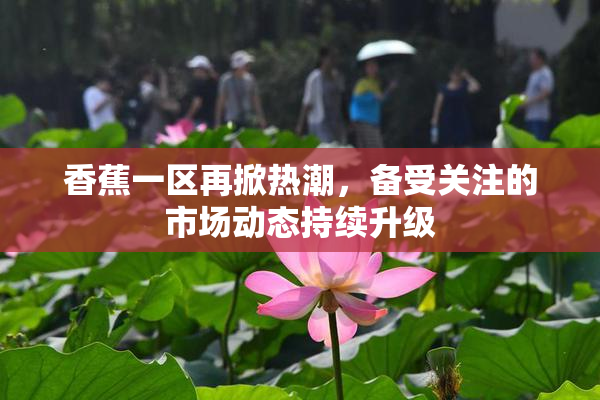 香蕉一区再掀热潮，备受关注的市场动态持续升级